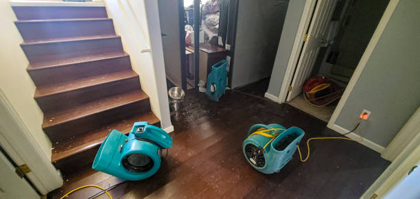 Best Water damage restoration near me  in Chickasha, OK