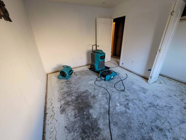  Chickasha, OK Water damage restoration Pros