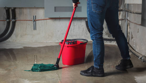 Best Carpet water damage restoration  in Chickasha, OK