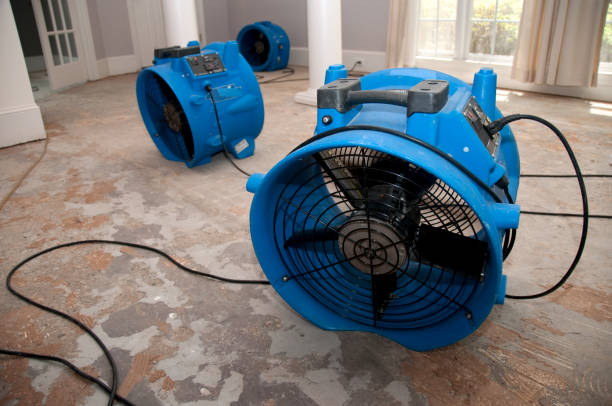 Best Water damage restoration near me  in Chickasha, OK